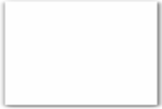 22X12 SX Price marking labels for Samark