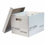Mobile storage box with lid