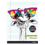 Exam Pads 100 Sheet Feint & Margin - Punched White Bond