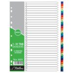Treeline 160 Micron A4 Index 1 to 31 Rainbow Assorted