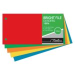 Treeline 160gm Board Bright File Dividers 100's Assorted