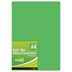 Treeline Premium Paper A4's Deep Tint 100's Parrot
