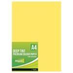 Treeline Premium Paper A4's Deep Tint 100's Lemon