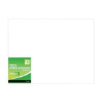 Treeline Pastel 160gsm A3 Pastel White (Pack of 100)
